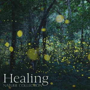 Healing Nature Collection: Binaural 432 Hz Relaxation - Serenity Nature Sounds Academy