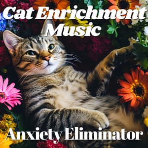 Cat Enrichment Music - Anxiety Eliminator - RelaxMyCat