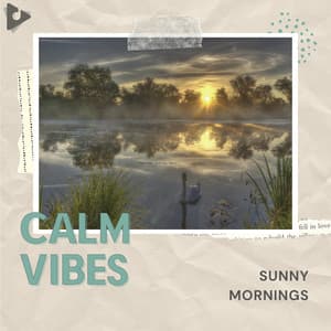 Sunny Mornings - Calm Vibes