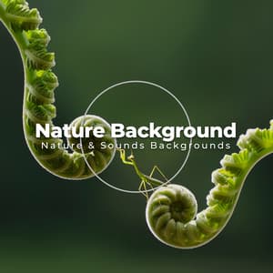 Nature Background - Nature Sounds & Backgrounds