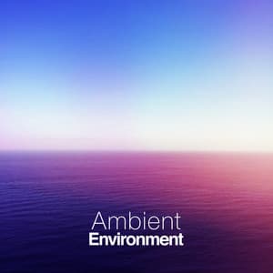 Ambient Environment - Ambient