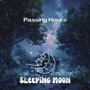 Passing Hours - Sleeping Moon