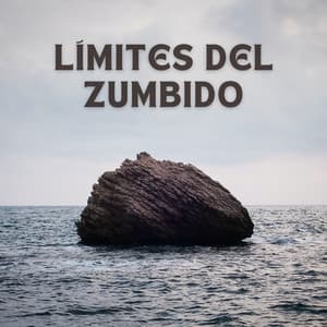 Límites Del Zumbido - Musica Instrumental Para Relajar tus Sentidos