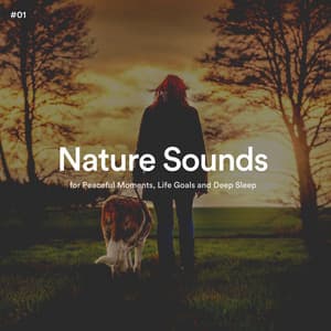 #01 Nature Sounds for Peaceful Moments, Life Goals and Deep Sleep - The Nature Soundscapes