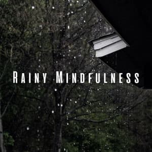 Rainy Mindfulness: Elevating Focus with Pink Noise - Shush Shush Shush
