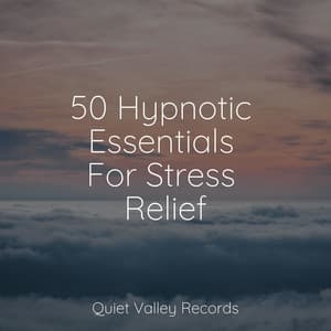 50 Hypnotic Essentials For Stress Relief - Rain Makers