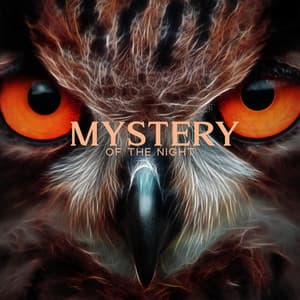 Mystery of The Night: Relaxing Music with The Sounds of Owls for Creative Book Writing, Story Tellers, Visualization, Meditation, Music for Sleep - Stress Relief Calm Oasis