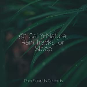50 Calm Nature Rain Tracks for Sleep - Sounds of Nature Relaxation