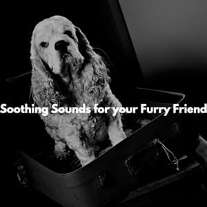 Soothing Sounds for your Furry Friend - Calm Dog Music