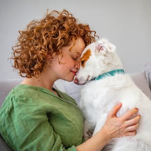 Serene Piano Rain for Contented Pets - Piano Animal