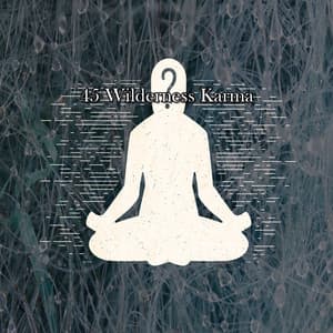45 Wilderness Karma - Rising Higher Meditation
