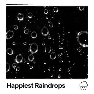 Happiest Raindrops - The Rain Factory