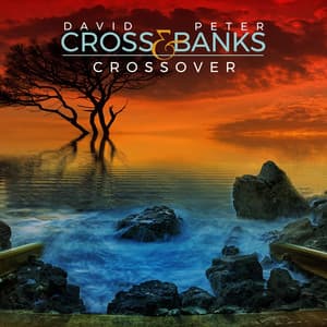 Crossover - David Cross
