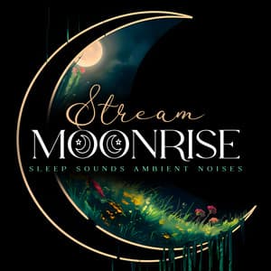 Stream Moonrise - Sleep Sounds Ambient Noises