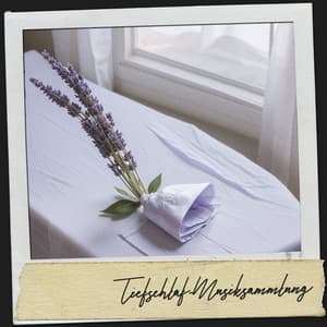 Spa-Schlafmusik: Mondbeschienene Schlaflieder - Relajacion