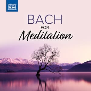Bach For Meditation - Johann Sebastian Bach