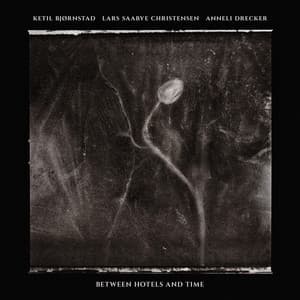 Between Hotels and Time - Anneli Drecker