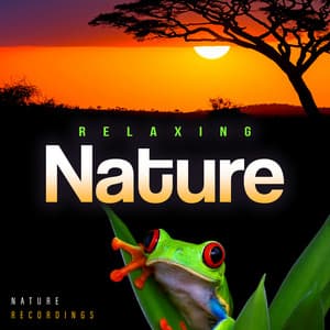 Relaxing Nature - Nature Recordings