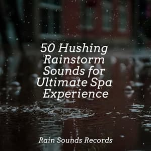 50 Hushing Rainstorm Sounds for Ultimate Spa Experience - Weather Factory