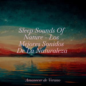 Sleep Sounds Of Nature - Los Mejores Sonidos De La Naturaleza - Meditación Maestro