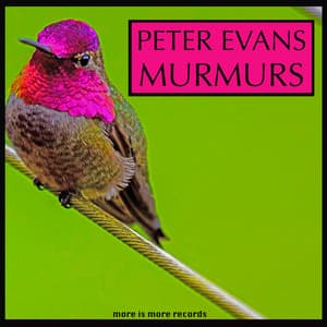 Murmurs - Peter Evans