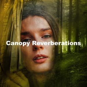 Canopy Reverberations - Rainforest Sounds