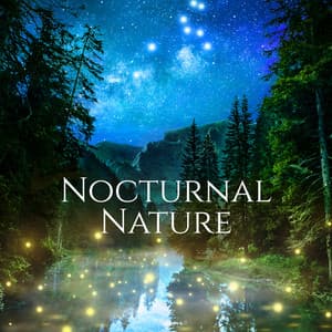 Nocturnal Nature: Sounds of the Night, Soothing Nature for Deep Sleep - Relaxing Night Music Academy