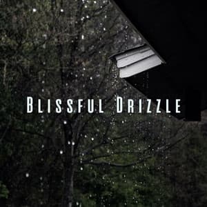 Blissful Drizzle: White Noise and Rain for Spa Indulgence - Heavy Rain Sounds