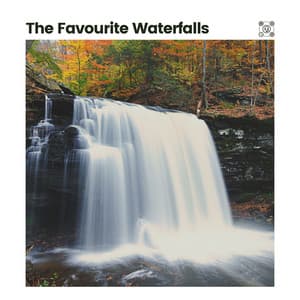 The Favourite Waterfalls - Water Spa