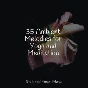35 Ambient Melodies for Yoga and Meditation - The Sleep Specialist