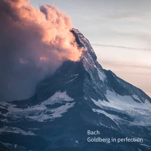 J.S. Bach Goldberg in perfection - Johann Sebastian Bach