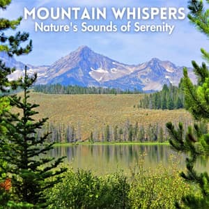 Mountain Whispers: Nature's Sounds of Serenity - Non-stop Nature Channel