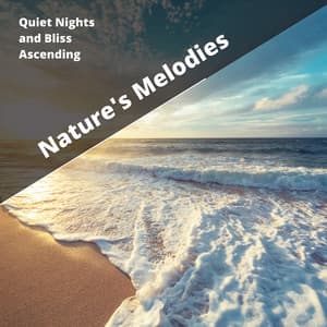 Quiet Nights and Bliss Ascending - Nature's Melodies
