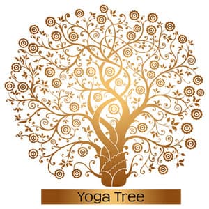 Yoga Tree – Calming Yoga Music to Create Your Perfect Yoga Space - Ahanu Om Chant