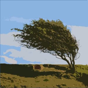 The Wind and the Rain - A Deeper Sleep Still