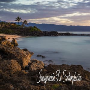 Imaginación De Contemplación - Relajante Academia de Música Zen