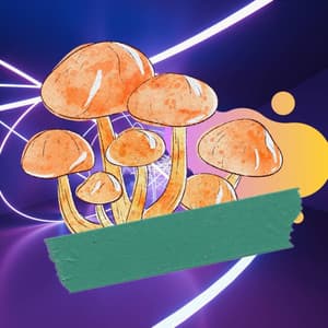 Jazz Trio - Ambiance for Always Reality - Lounge Chillout