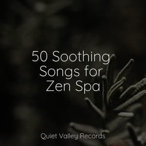 50 Soothing Songs for Zen Spa - Relaxing Nature Sounds Collection