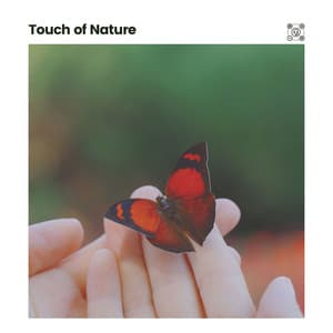 Touch of Nature - Sounds of the Forest