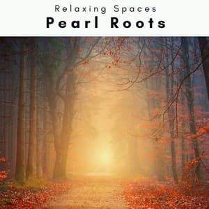 4 Rel: Pearl Roots - Relaxing Spaces