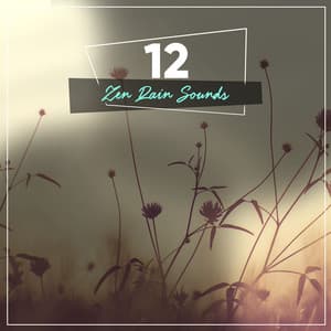 #20 Serene Rain Noises for Spa - Pro Sounds of Nature