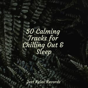 50 Calming Tracks for Chilling Out & Sleep - Mantra para Dormir
