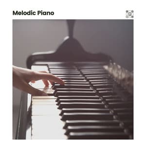 Melodic Piano - Relaxing Piano Music Universe