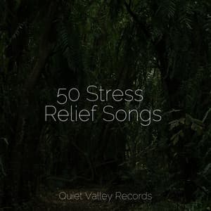 50 Stress Relief Songs - Namaste Yoga