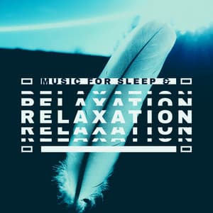 Music for Sleep & Relaxation - Take a Nap to Forget Your Worries - Deep Sleep Maestro