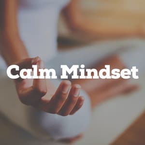 Calm Mindset - Tranquility Spree