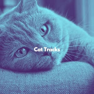 Cat Tracks - Sleepy Cat