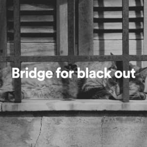 Bridge for Black Out - Deep Sleep Music Delta Binaural 432 Hz