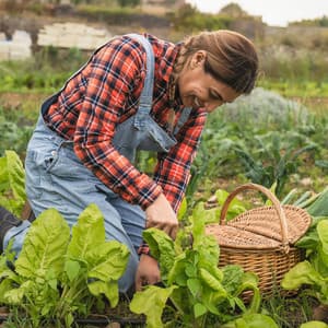 Workstream Echoes: Waterfall Chill Sound for Productive Flow - Riverfall Science