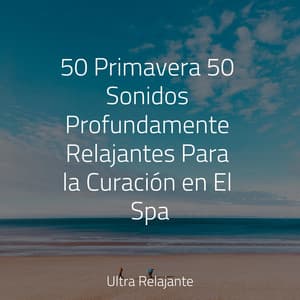 50 Primavera 50 Sonidos Profundamente Relajantes Para la Curación en El Spa - Canção de Ninar Bebê